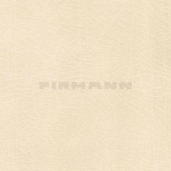120013