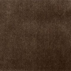 120081