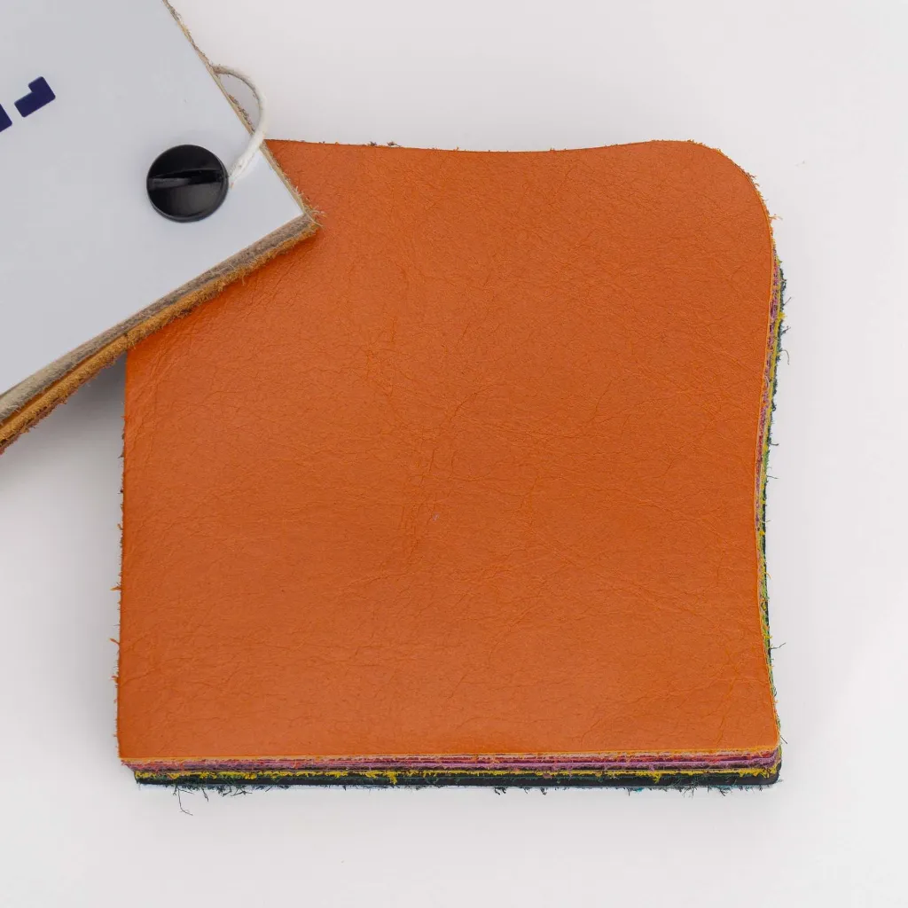 Kassandra Muster-3.webp