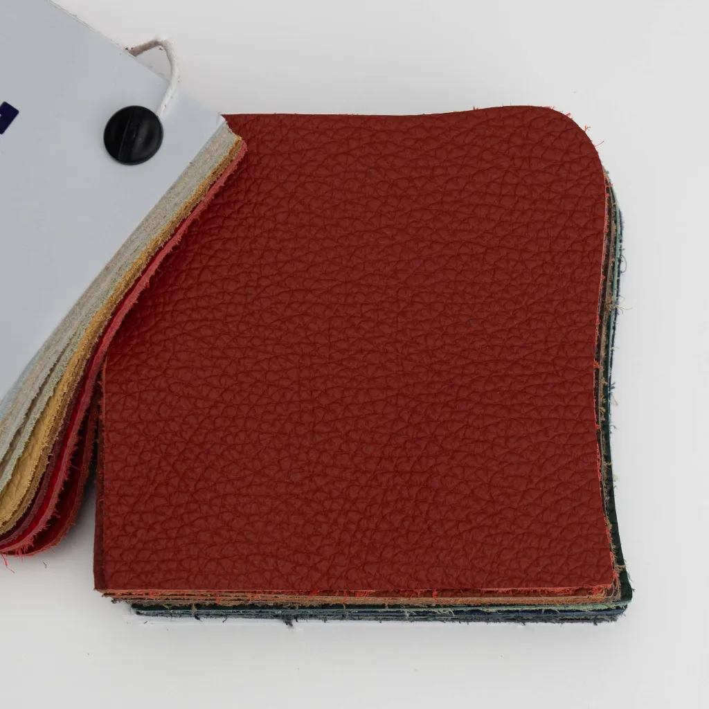 Hektor Muster-4.webp