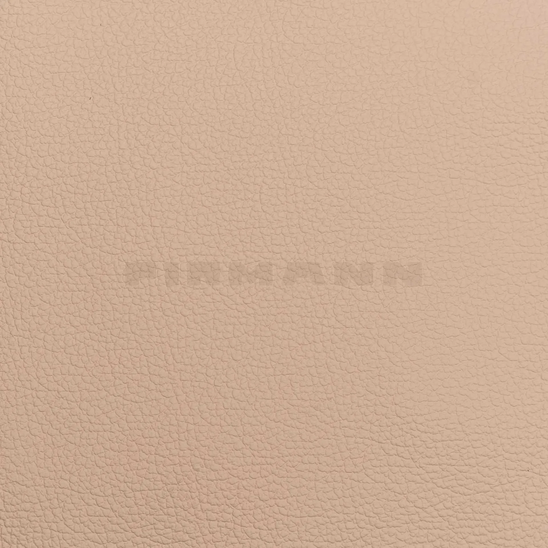 [132831] Achilles nude Möbelleder