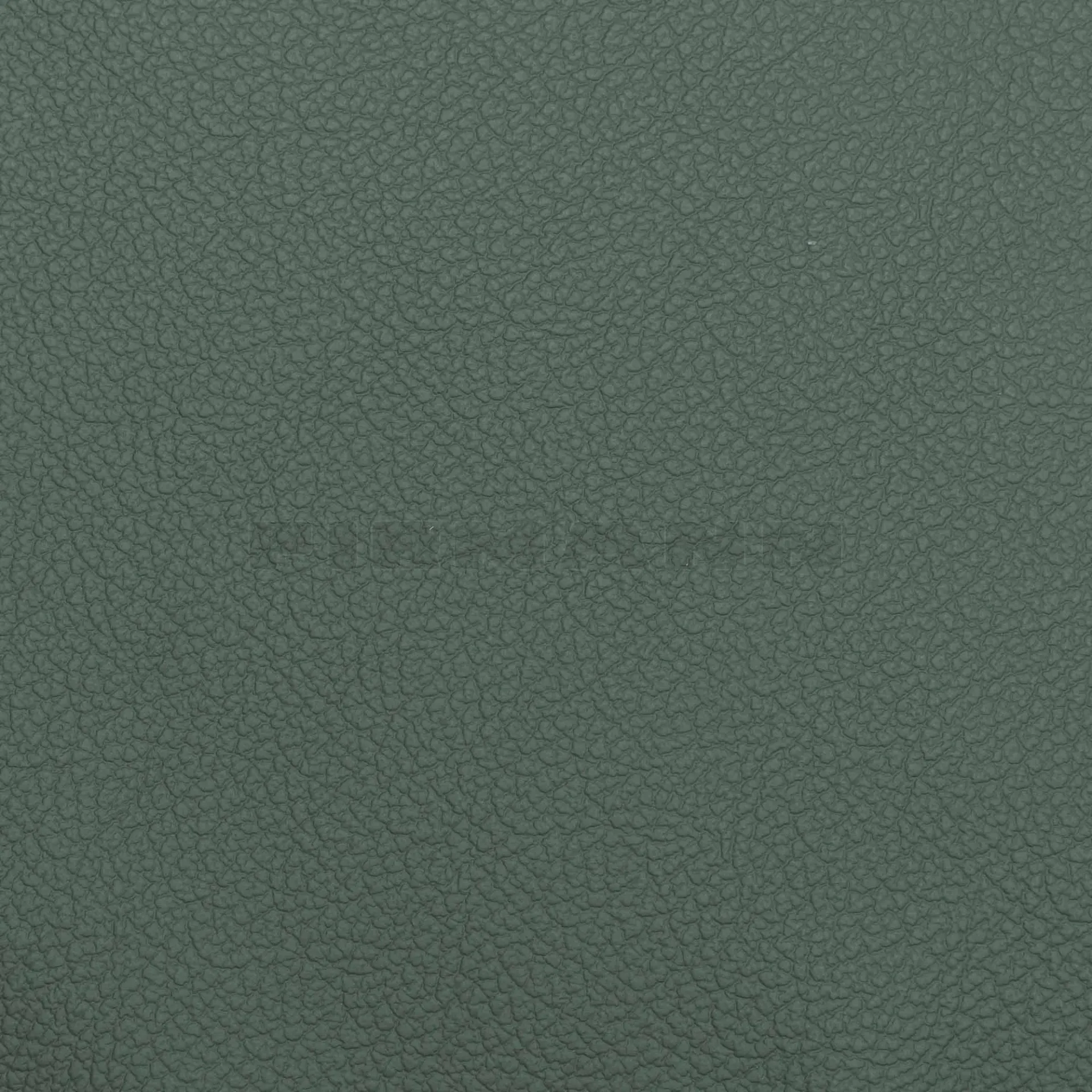 [132835] Achilles eukalyptus Möbelleder