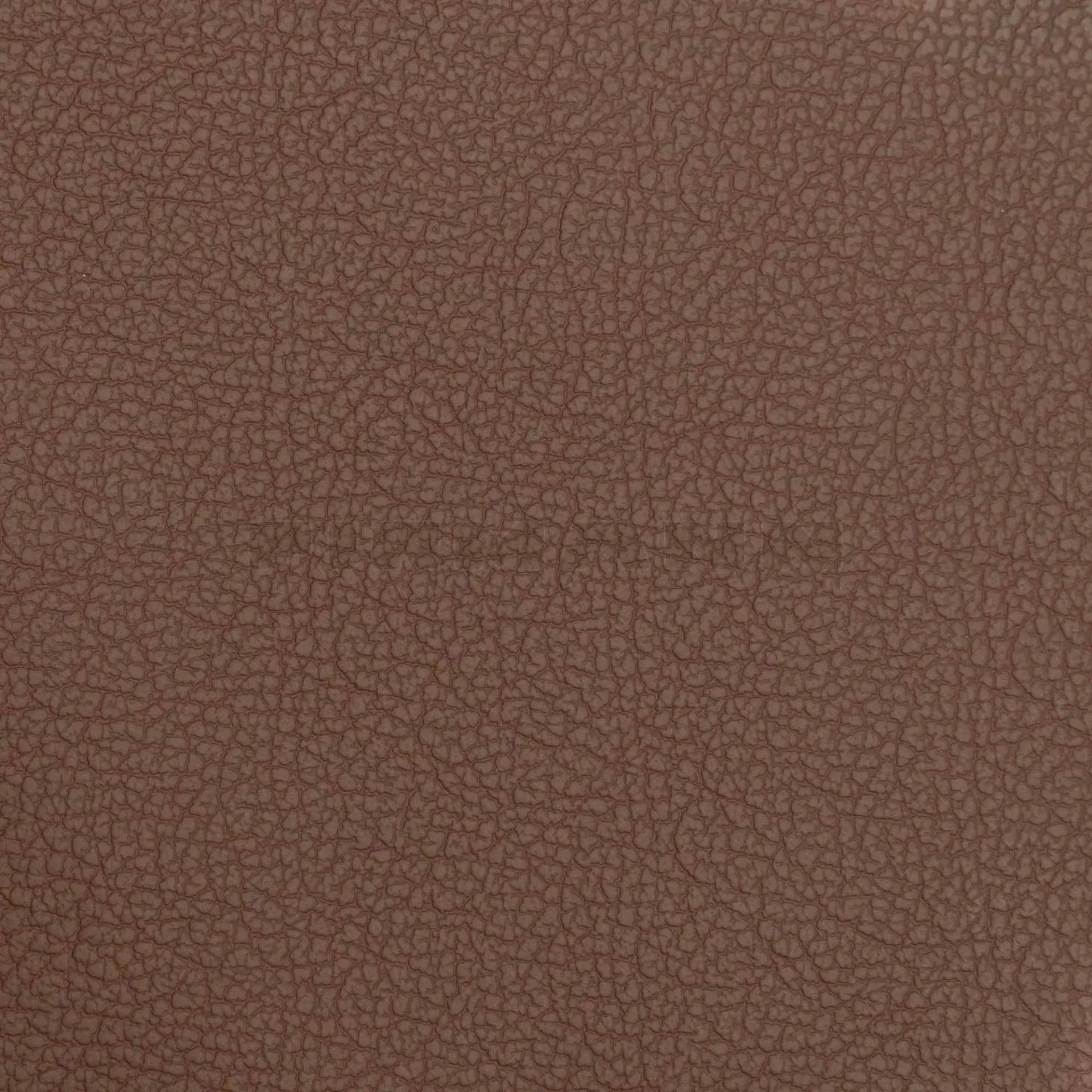 [132838] Achilles kastanie Möbelleder