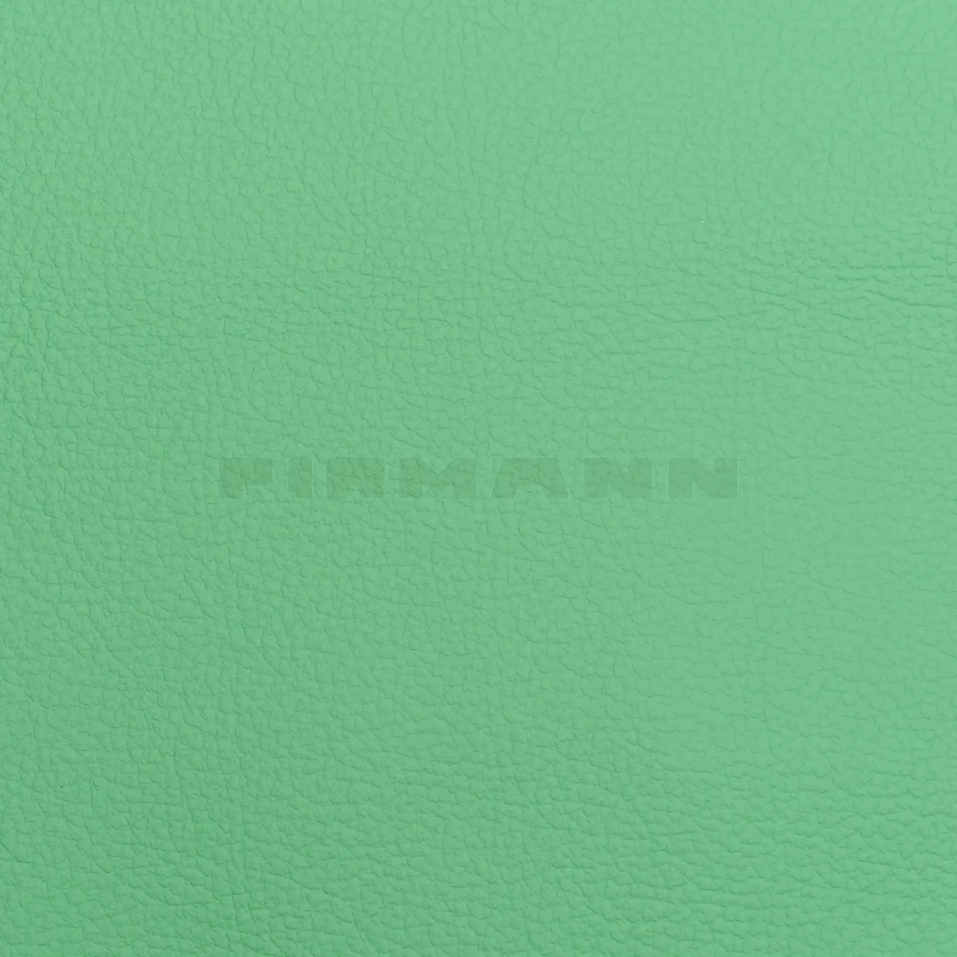 [132844] Achilles jade  Möbelleder