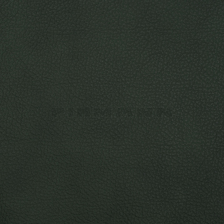 [132845] Achilles hubertus  Möbelleder