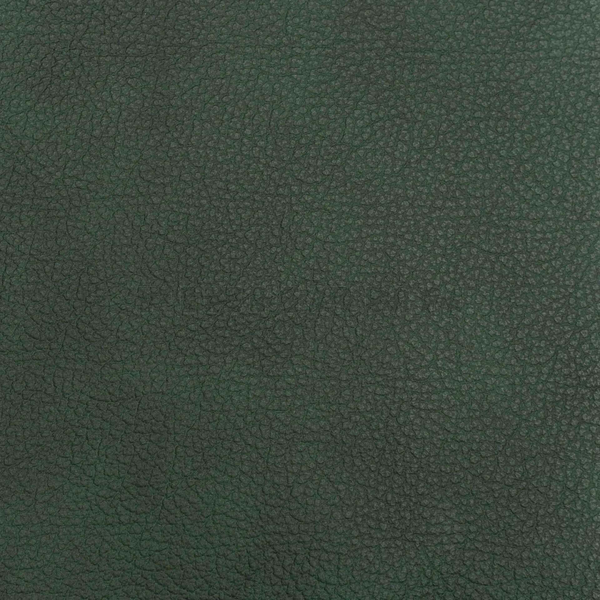 [132845] Achilles hubertus Möbelleder