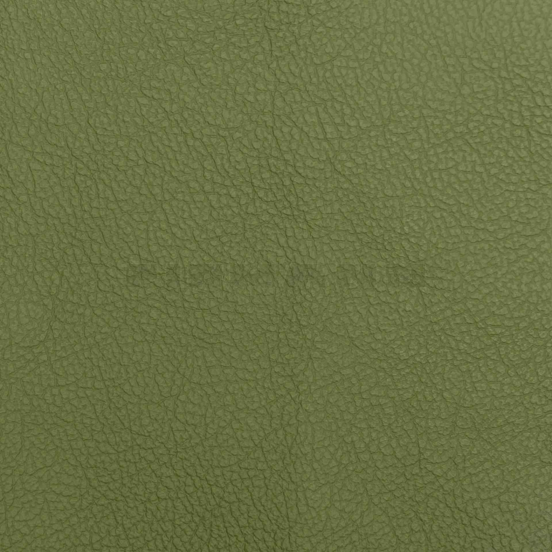 [132862] Achilles m.grün  Möbelleder