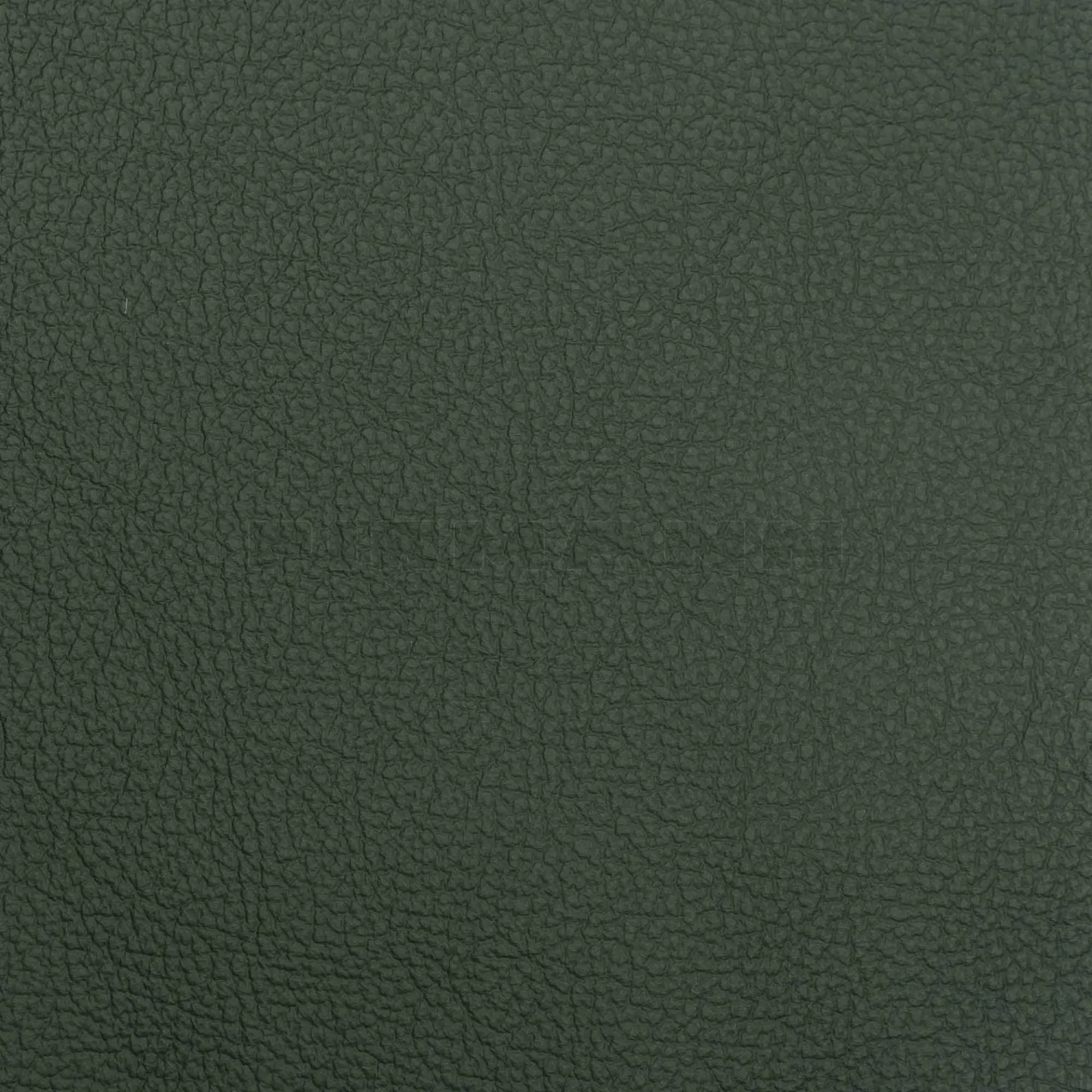 [132863] Achilles tanne  Möbelleder