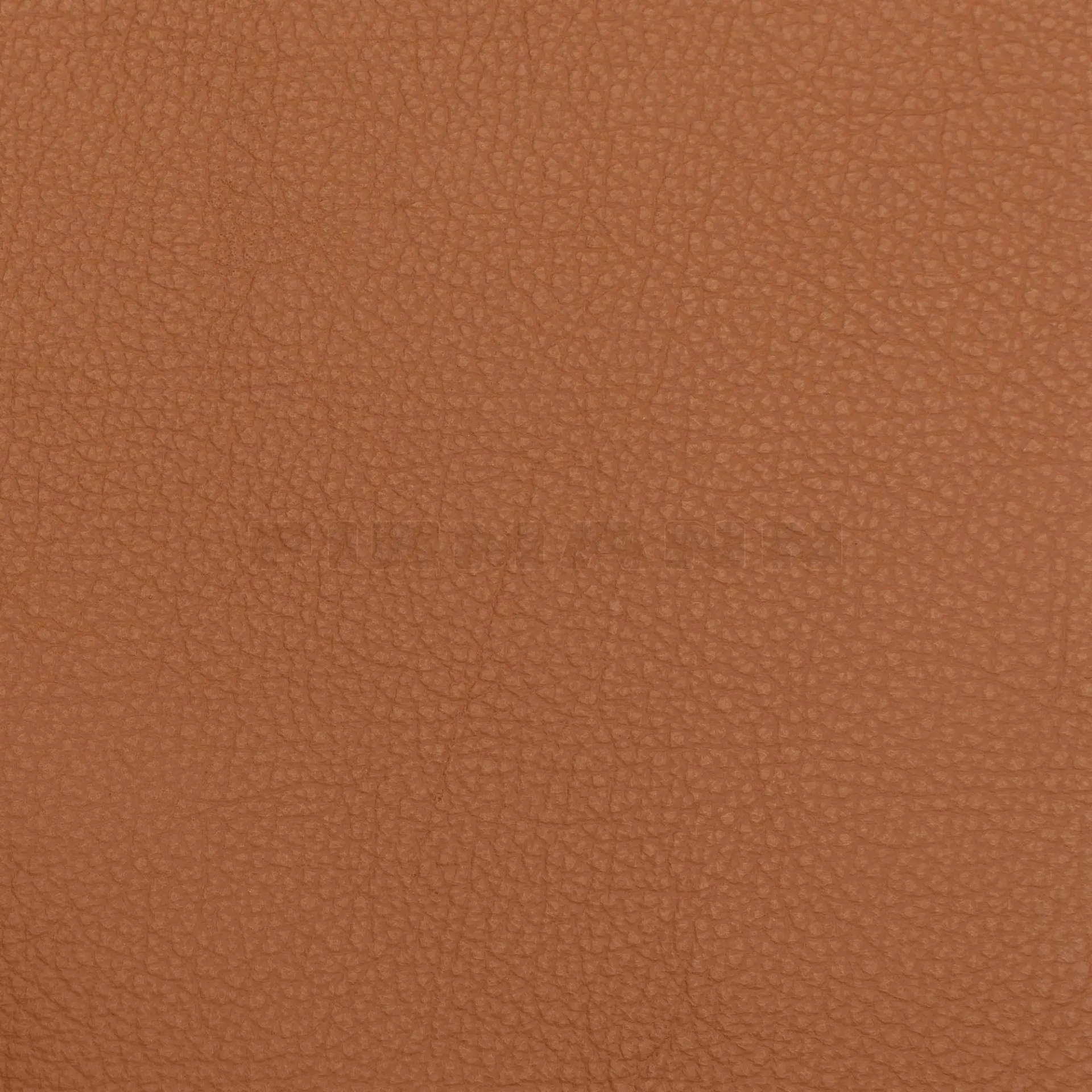 [132866] Achilles terra  Möbelleder