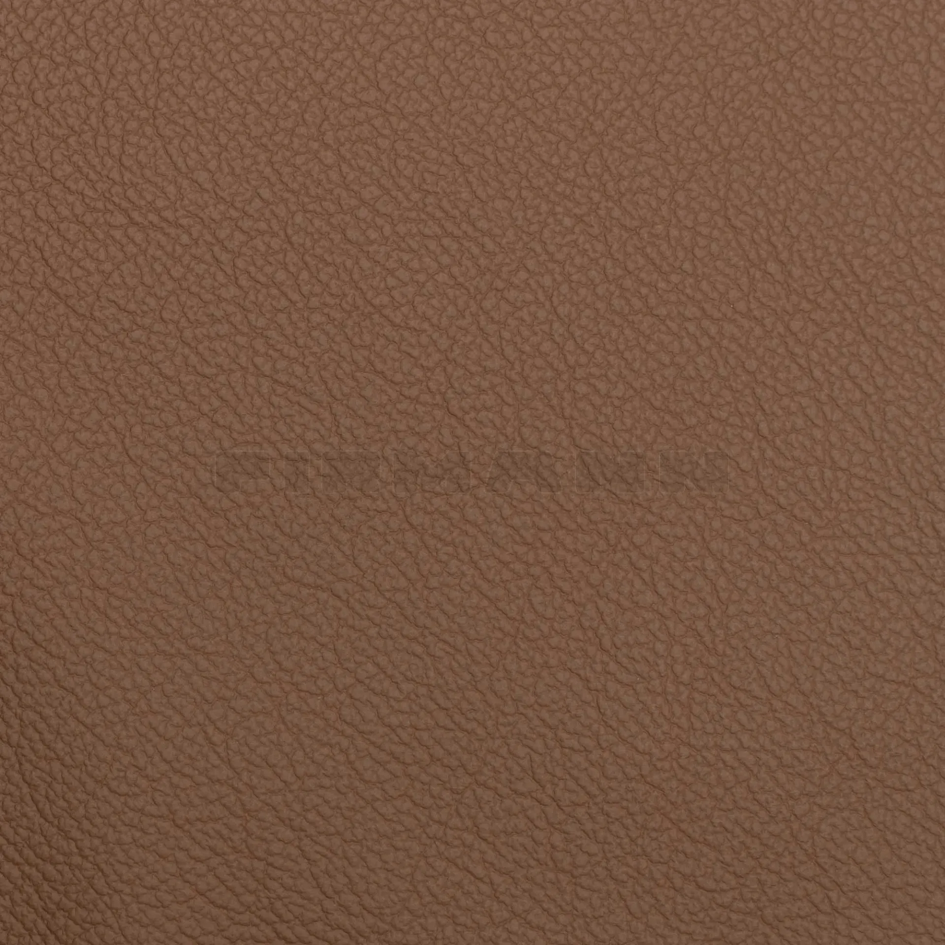 [132877] Achilles rehbraun  Möbelleder
