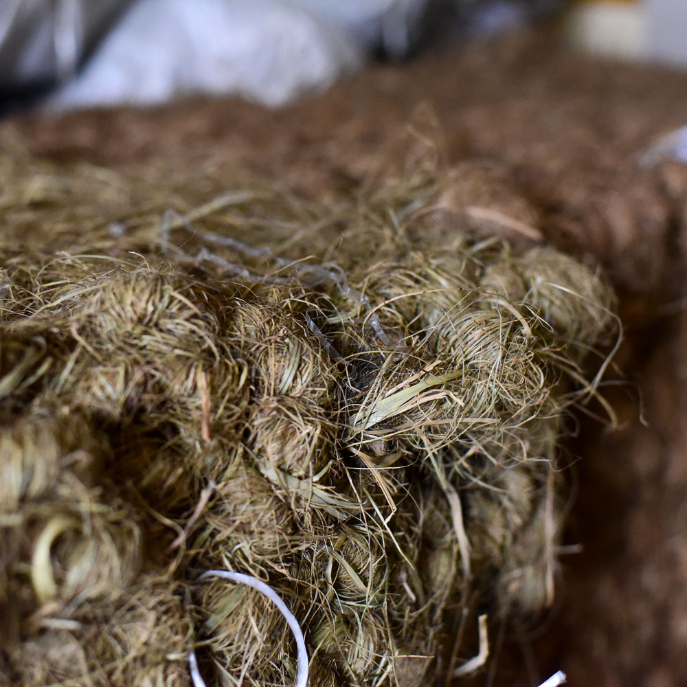 [721305] Afrik in Zöpfen (80 kg) Mixte prima